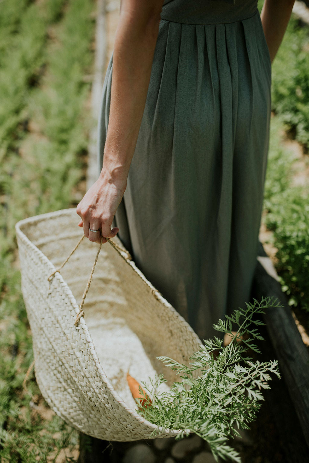 The Wisteria PRE-ORDER