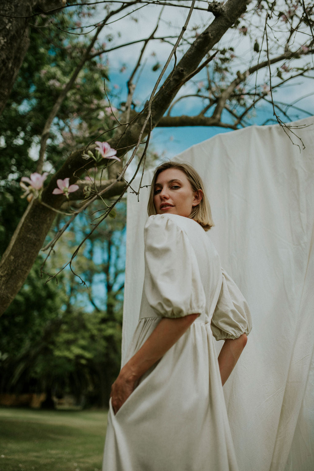 The Magnolia