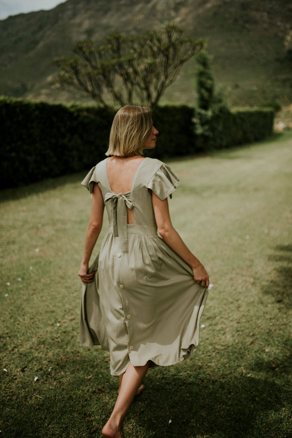 The Lavender
