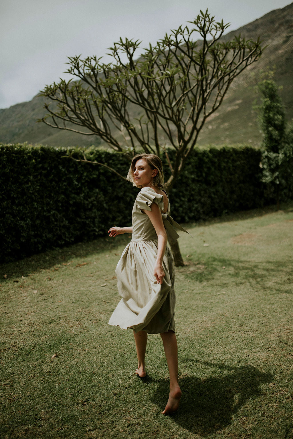 The Lavender