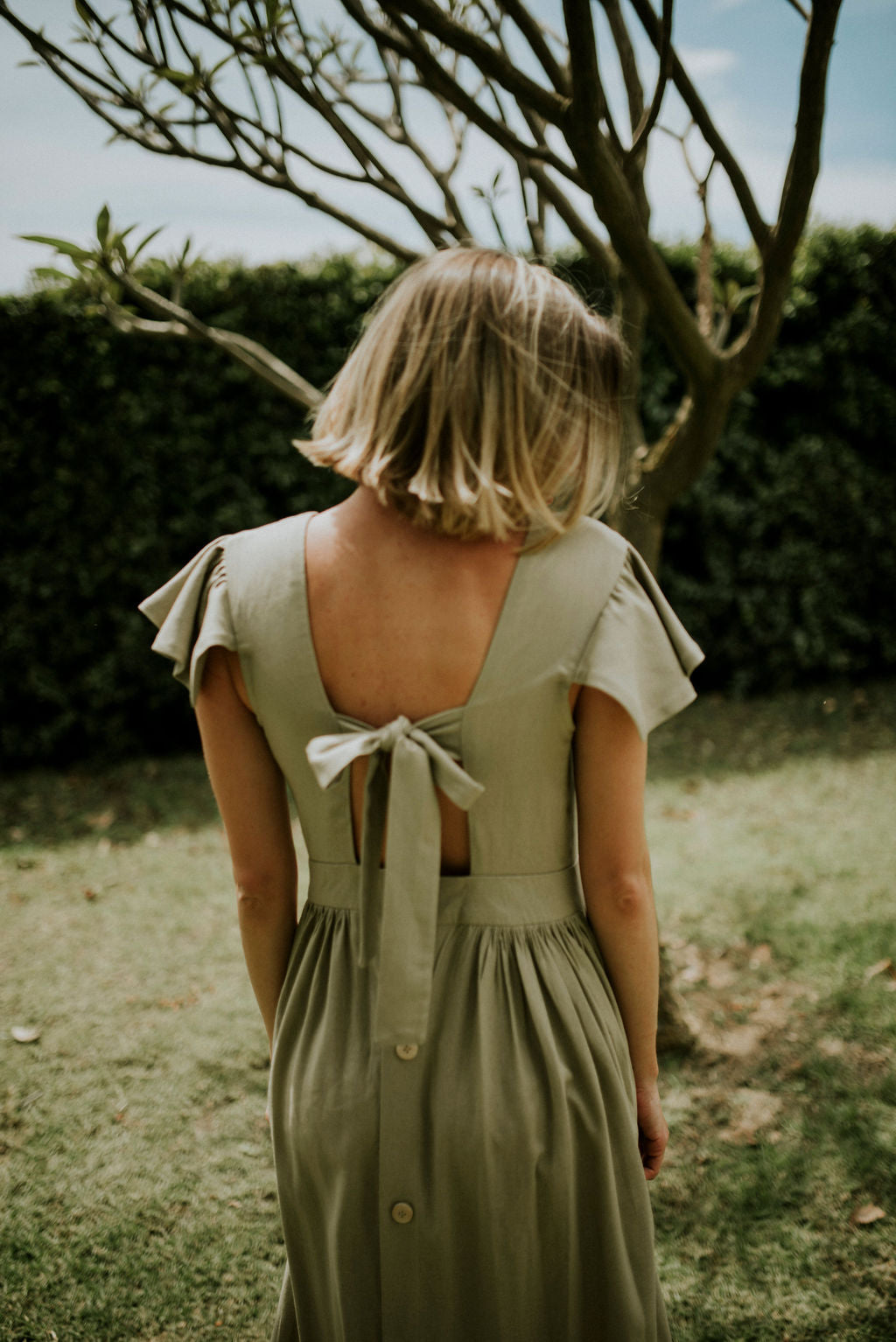 The Lavender