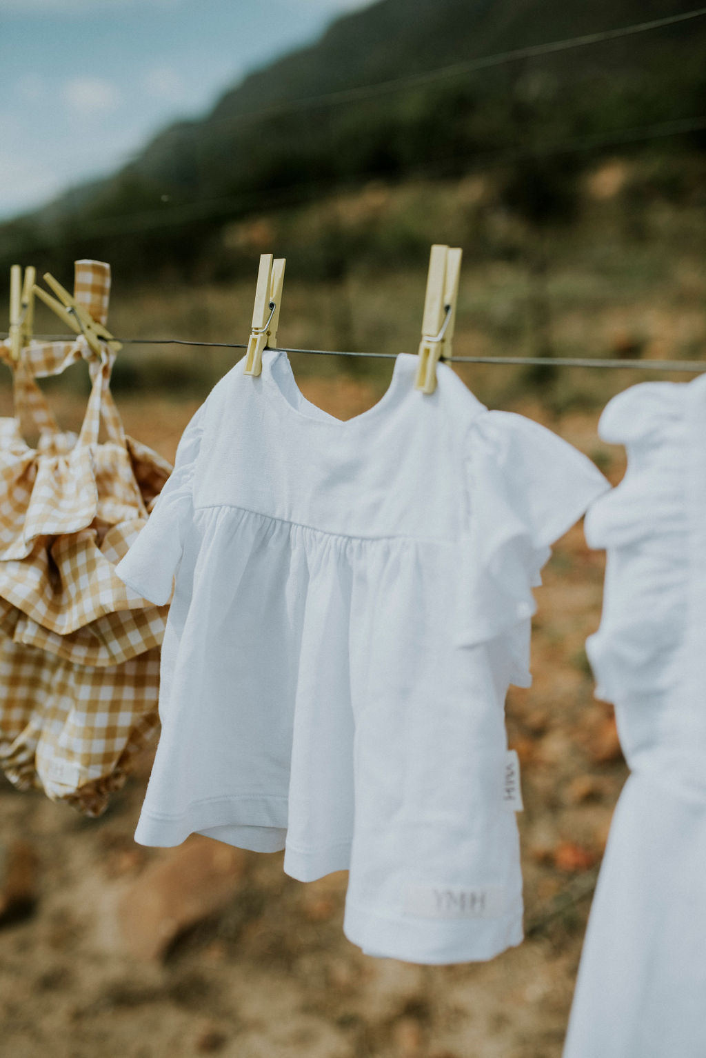 The Frill Daisy Set