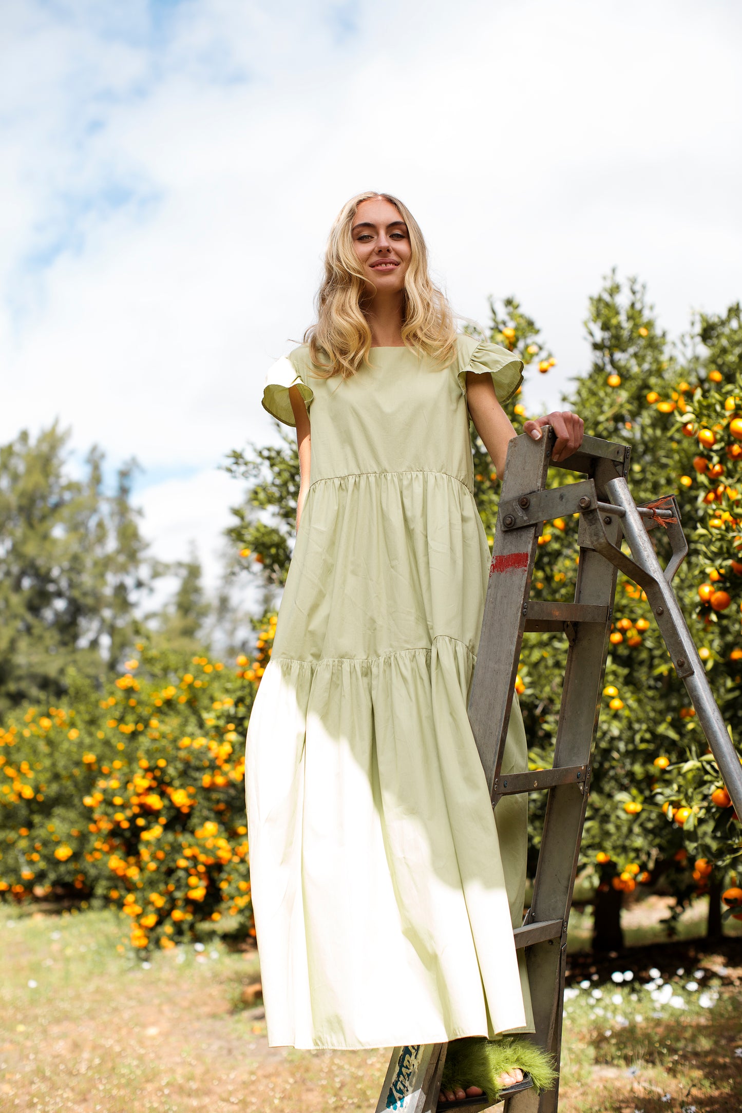 The Jade Cotton Poplin Dress