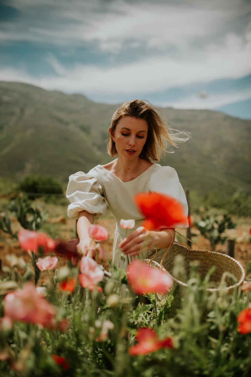 The Jules Collection